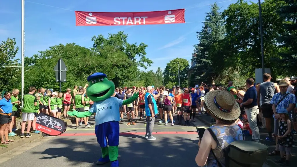 sachsenlauf coswig startbereich